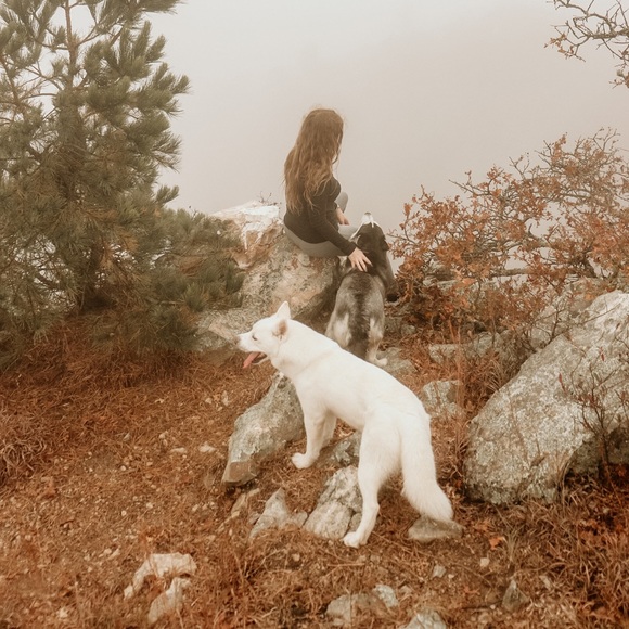 Meet your Posher, Carissa - Picture 4 of 5